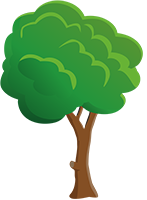 Elagage arbre