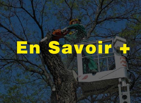ELAGAGE ET ABATTAGE 41