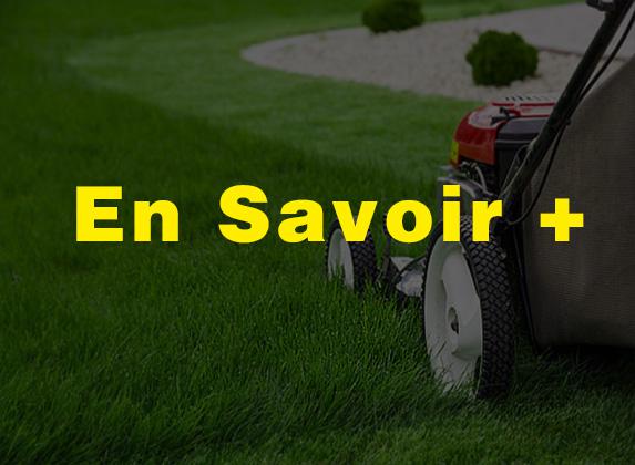 ENTRETIEN ESPACE VERT 41