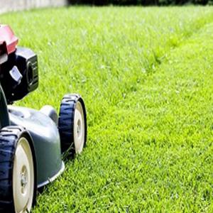 Entretien espace vert Parc & Jardin 41