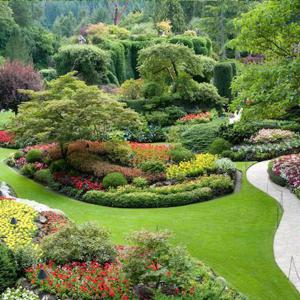 Entretien espace vert Parc & Jardin 41