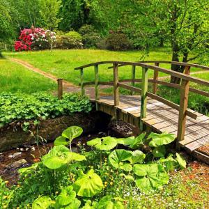 Entretien espace vert Parc & Jardin 41