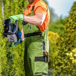 Entretien espace vert Parc & Jardin 41