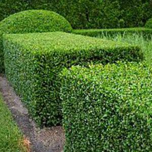 Entretien espace vert Parc & Jardin 41