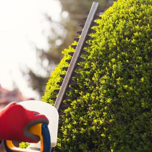 Entretien espace vert Parc & Jardin 41