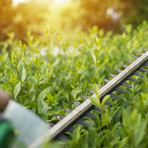 Entretien espace vert Parc & Jardin 41